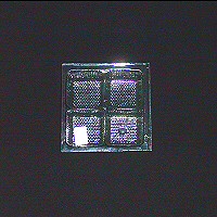 10100.jpg