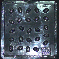 538.jpg