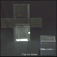 7107.jpg